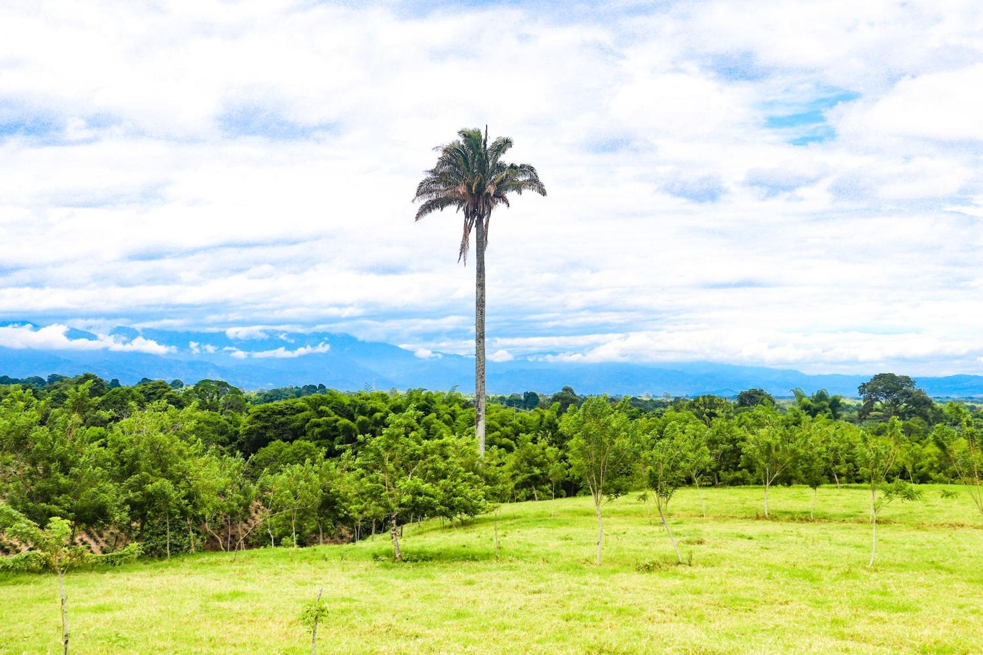 Hotel Quindio Campestre Montenegro Dış mekan fotoğraf